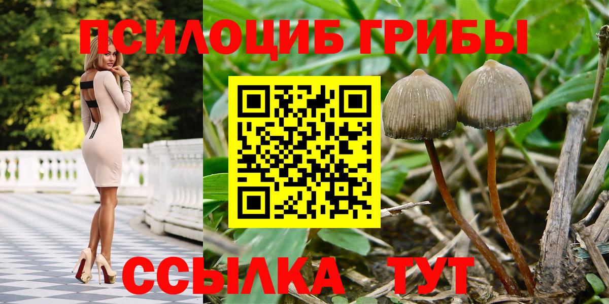 Псилоцибиновые грибы GOLDEN TEACHER Мурино